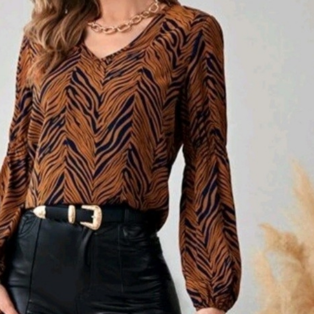 Shein V neck lantern sleeve blouse